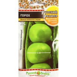 Горох Русский размер семена