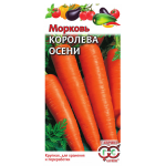Морковь Королева осени