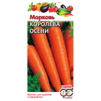 Морковь Королева осени