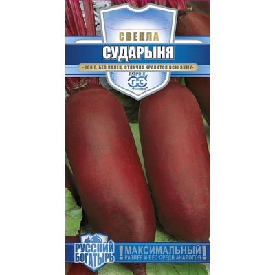 Свекла Сударыня 