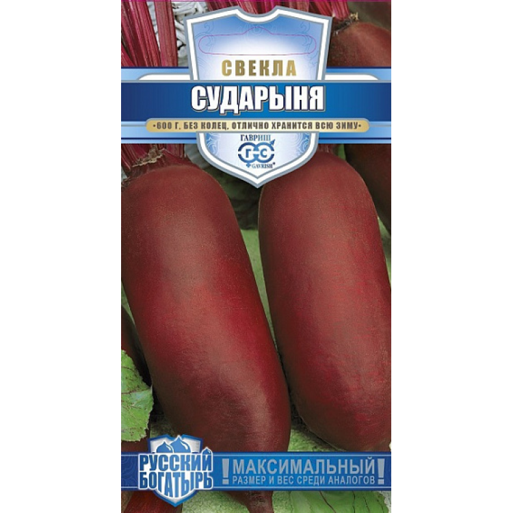 Свекла Сударыня 