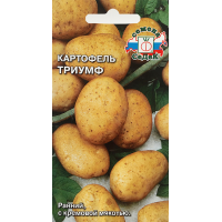 Картофель Триумф