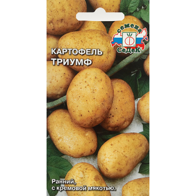 Картофель Триумф