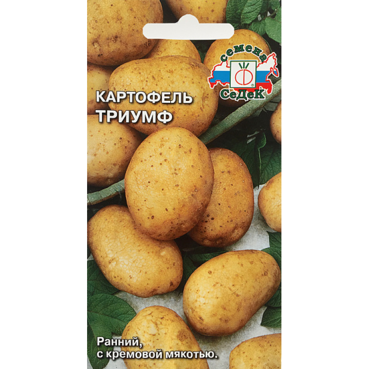 Картофель Триумф