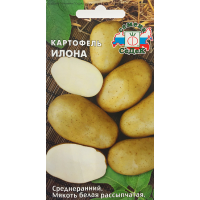 Картофель Илона 