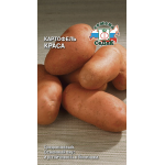 Картофель Краса