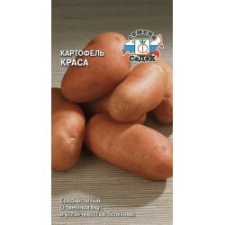 Картофель Краса