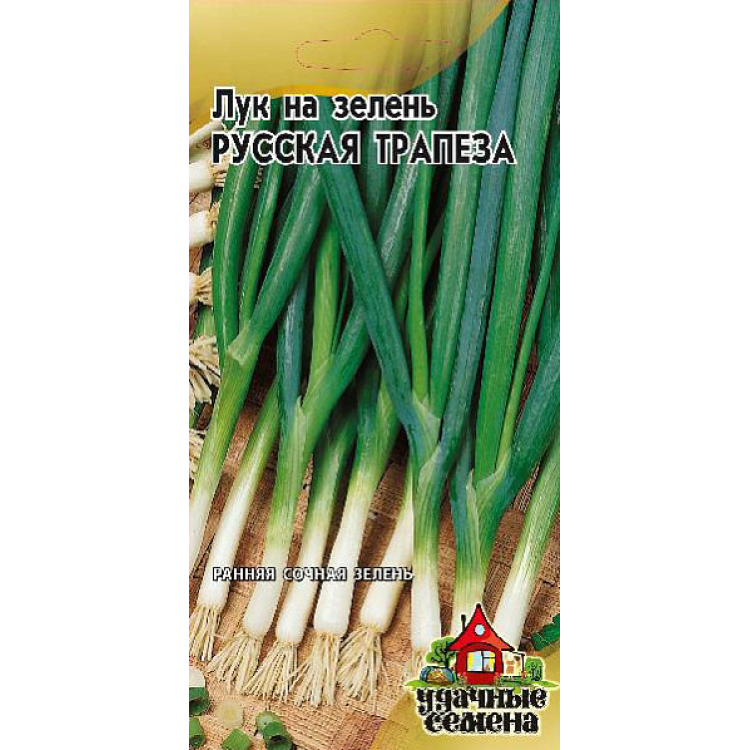 Лук Русская трапеза на зелень семена