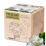 Экокуб "Гард��ния" (сувенирный семенной материал) 