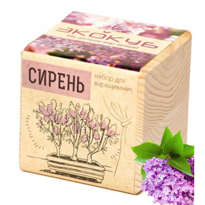Экокуб "Виноград" (сувенирный семенной материал)