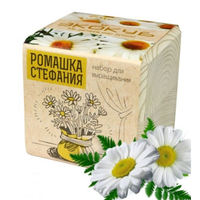 Экокуб "Ромашка" (сувенирный семенной материал) 
