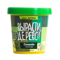 Секвойя гигантская (сувенирный семенной материал) 