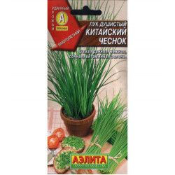 Лук Китайский чеснок душистый