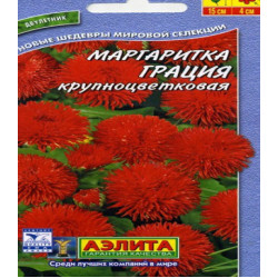 Маргаритка Грация крупноцветковая