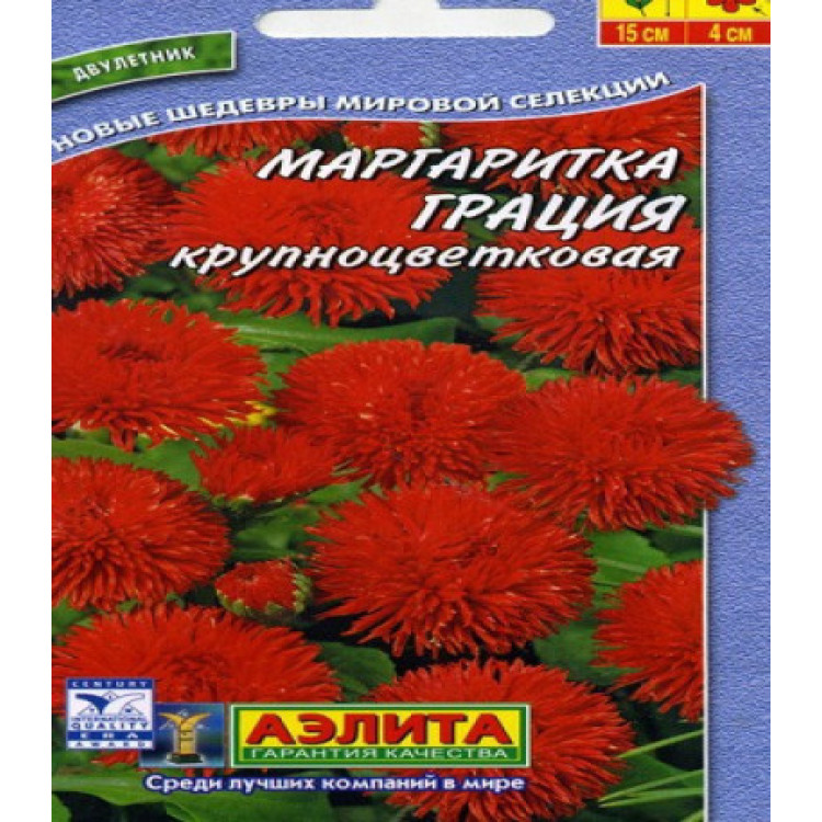 Маргаритка Грация крупноцветковая