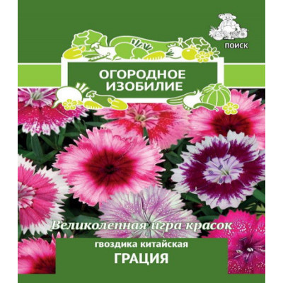 Гвоздика Грация китайская