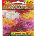 Георгина Декоративные гиганты смесь окрасок