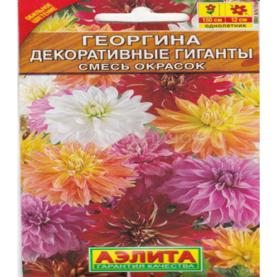 Георгина Декоративные гиганты смесь окрасок