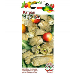 Катран Аккорд