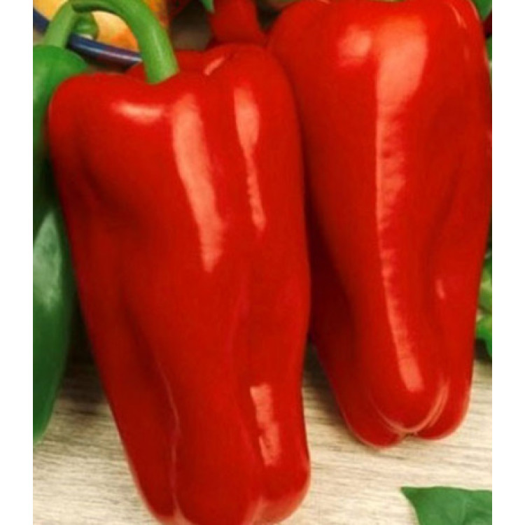 Перец сладкий Купец
